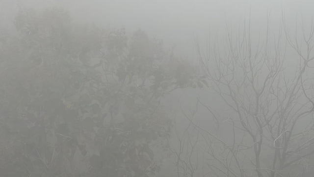 Wildfire in United States has forced people to stay indoors due to worsening air quality