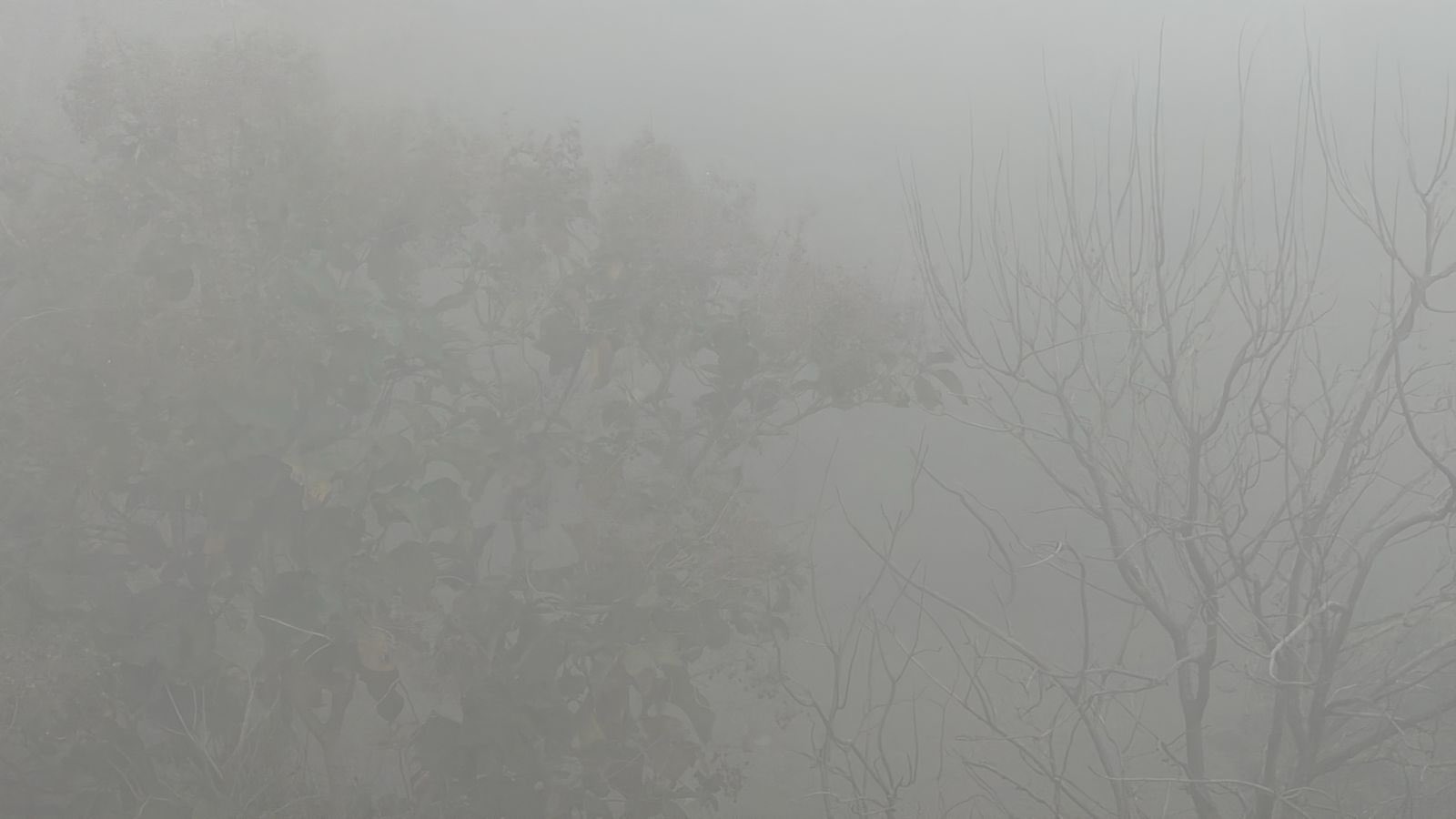 Wildfire in United States has forced people to stay indoors due to worsening air quality