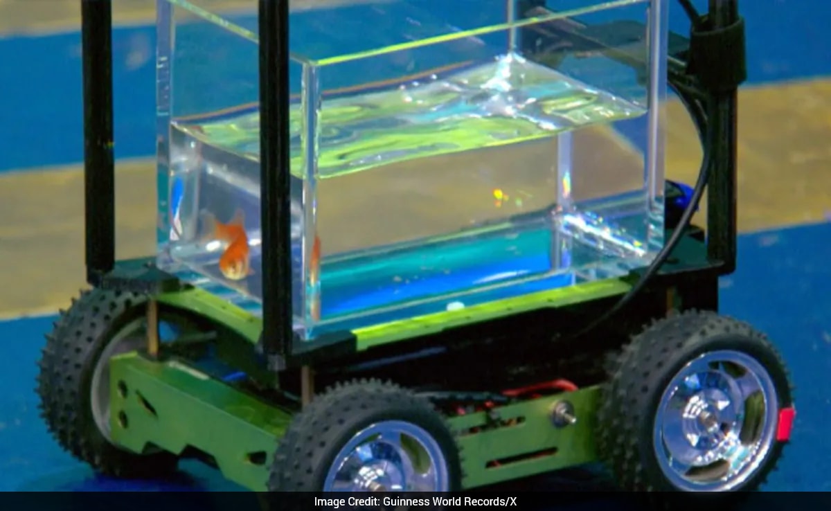 Goldfish Drives Car And Sets World Record By Covering Longest Distance In Motion Experiment