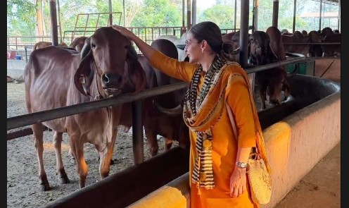 पिता धर्मेंद्र की यादों को ताजा करने फॉर्महाउस पहुंचीं ईशा देओल, गाय और बछड़ों पर लुटाया प्यार, बोलीं-'जहां मुझे शांति मिलती है'