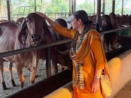 पिता धर्मेंद्र की यादों को ताजा करने फॉर्महाउस पहुंचीं ईशा देओल, गाय और बछड़ों पर लुटाया प्यार, बोलीं-'जहां मुझे शांति मिलती है'