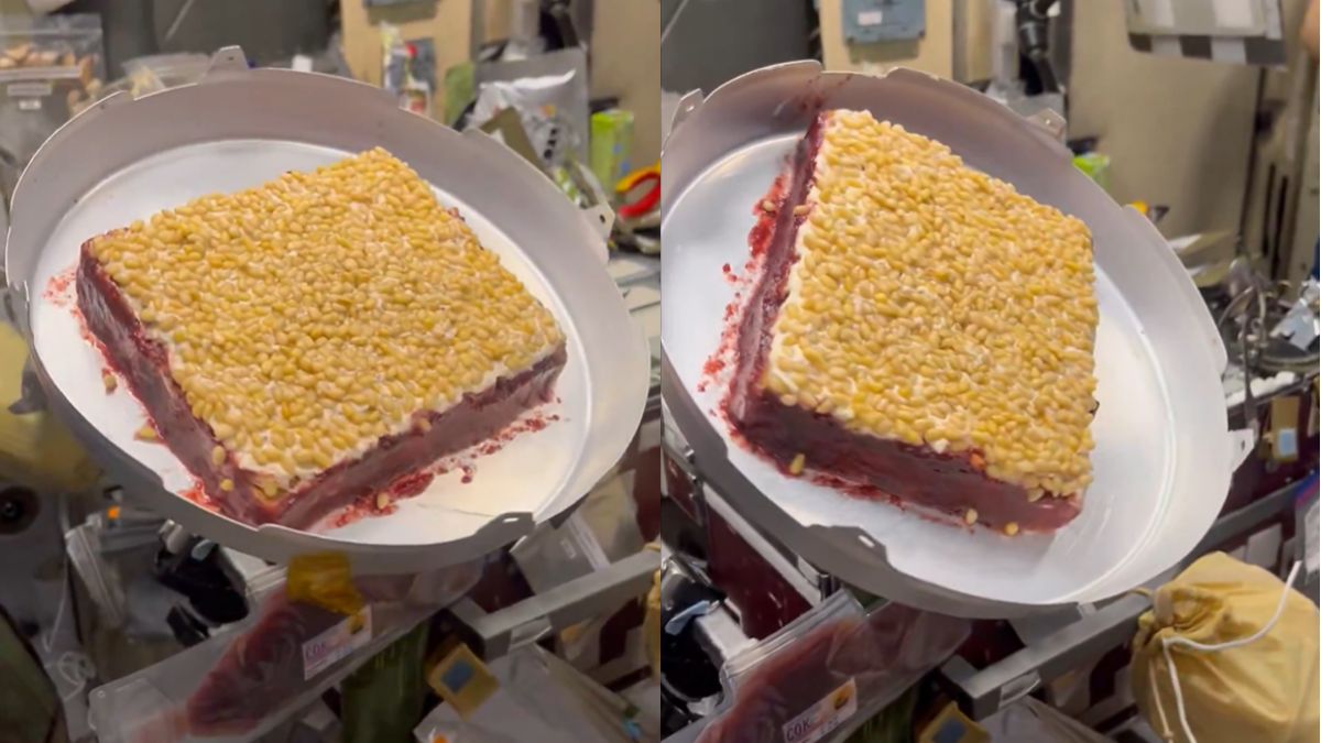 Watch: How Astronaut Shubhanshu Shukla Made A Cake In Space
