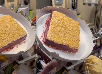 Watch: How Astronaut Shubhanshu Shukla Made A Cake In Space