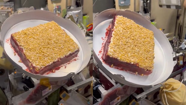 Watch: How Astronaut Shubhanshu Shukla Made A Cake In Space