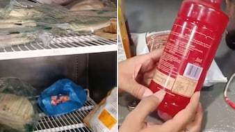 Raids In MP Find Veg And Non-Veg Food In Same Fridge, Expired Ingredients