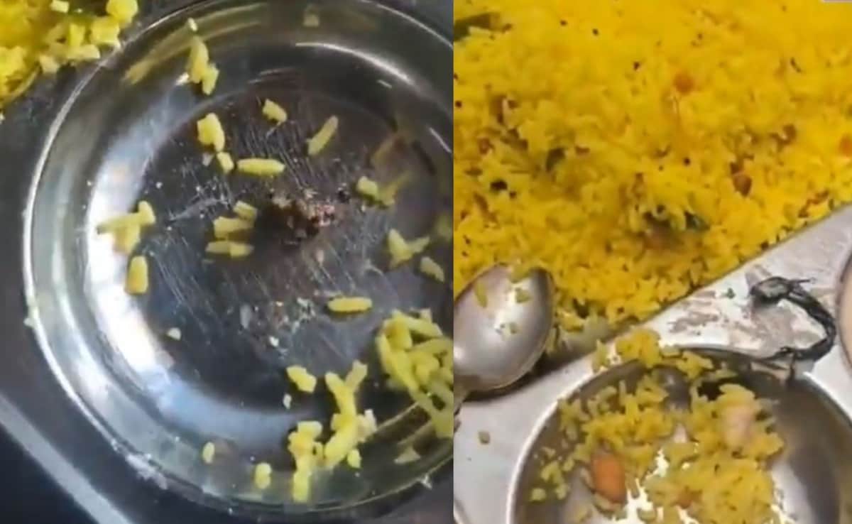 Watch: A Stone Was Allegedly Found In Lemon Rice At Hyderabad Airport, Workers Union Demands Action