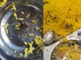 Watch: A Stone Was Allegedly Found In Lemon Rice At Hyderabad Airport, Workers Union Demands Action