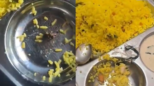 Watch: A Stone Was Allegedly Found In Lemon Rice At Hyderabad Airport, Authorities Issue Clarification
