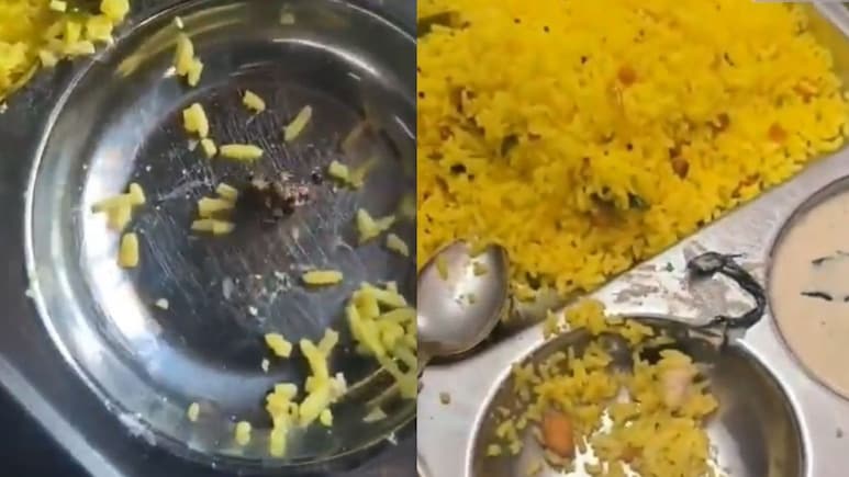 Watch: A Stone Was Allegedly Found In Lemon Rice At Hyderabad Airport, Workers Union Demands Action