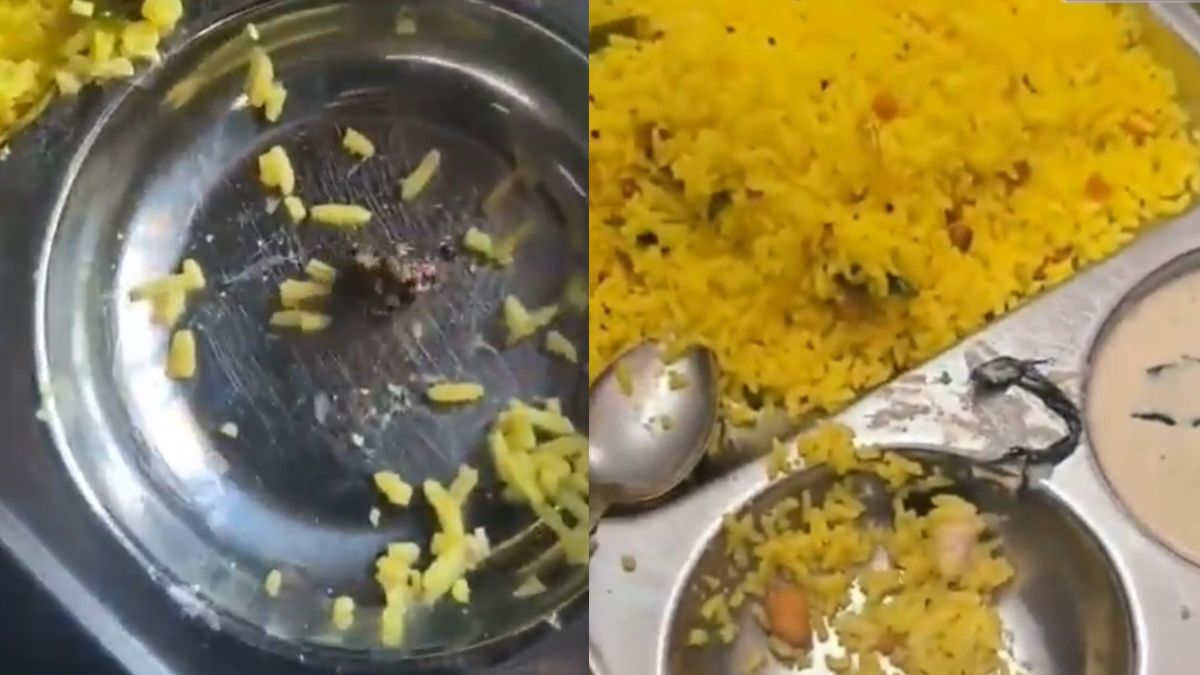 Watch: Workers Union Allegedly Find Stone In Lemon Rice At Hyderabad Airport