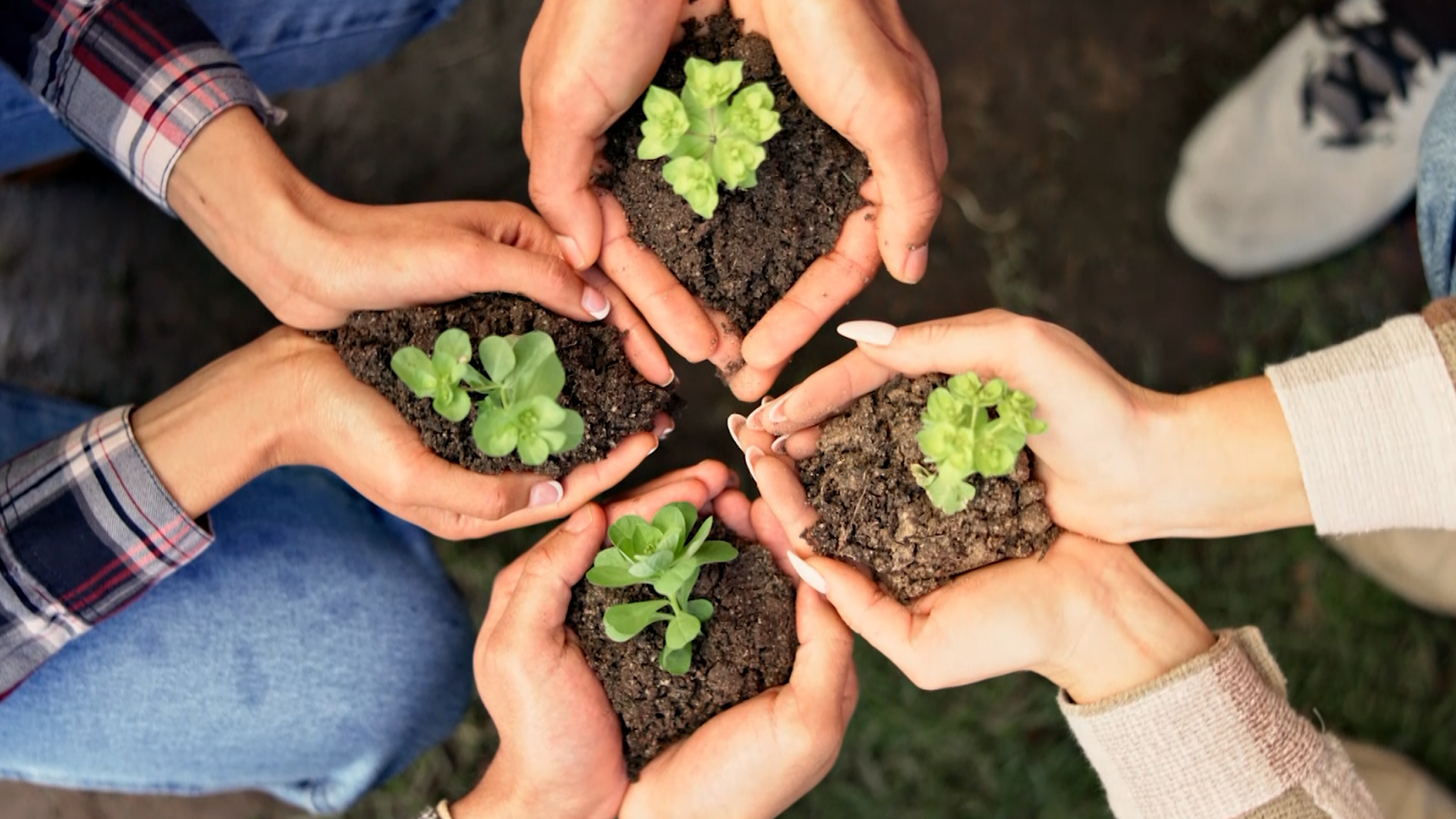 India&nbsp;Sustainability Mission 2.0: &nbsp;NDTV's Call To 1.4B Hearts