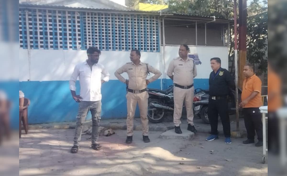 The Art of Baking: From Classic Bread to Artisan Pastries