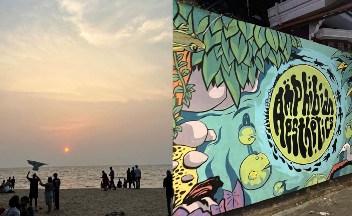 Latest and Breaking News on NDTV