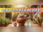 फ्रिज का ठंडा पानी नहीं, गर्मियों में वरदान समान है मटके का पानी, इन लोगों को जरूर पीना चाहिए