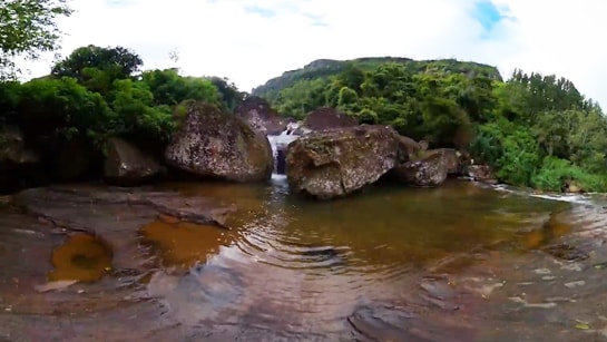 The Art of Baking: From Classic Bread to Artisan Pastries