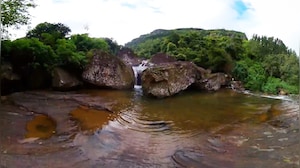 World Water Day Special: Secure Tomorrow's Drops Today