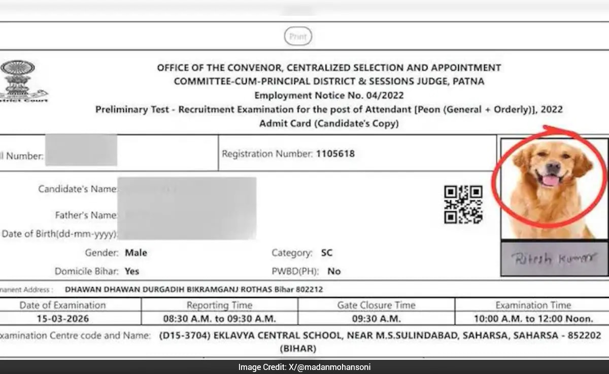 The Art of Baking: From Classic Bread to Artisan Pastries