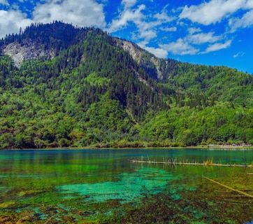 Mystery : एकाच शरीरात दोन लिंग; ना पूर्ण मादी ना नर, नॅशनल पार्कमध्ये आढळला अनोखा जीव, वैज्ञानिकही हैराण!