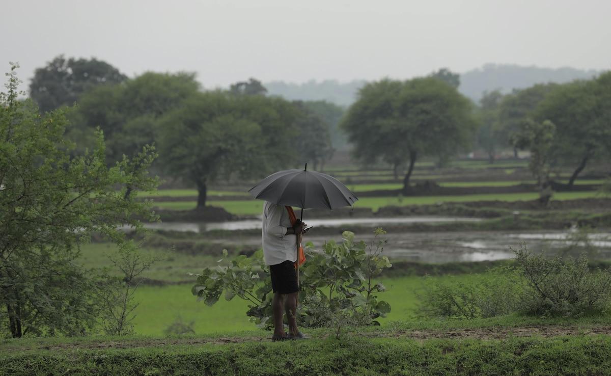 The Art of Baking: From Classic Bread to Artisan Pastries