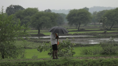 Greenland Cooling 8,200 Years Ago Reduced Indian Monsoon Intensity: Study