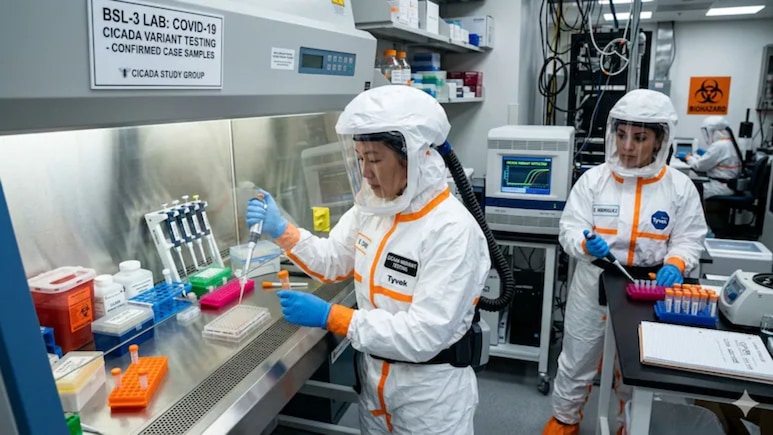 New COVID: कोरोनाचं रूप बदललं! BA.3.2 चा जगभर धुमाकूळ; ताप, खोकला की आणखी काही? नवी लक्षणं आली समोर