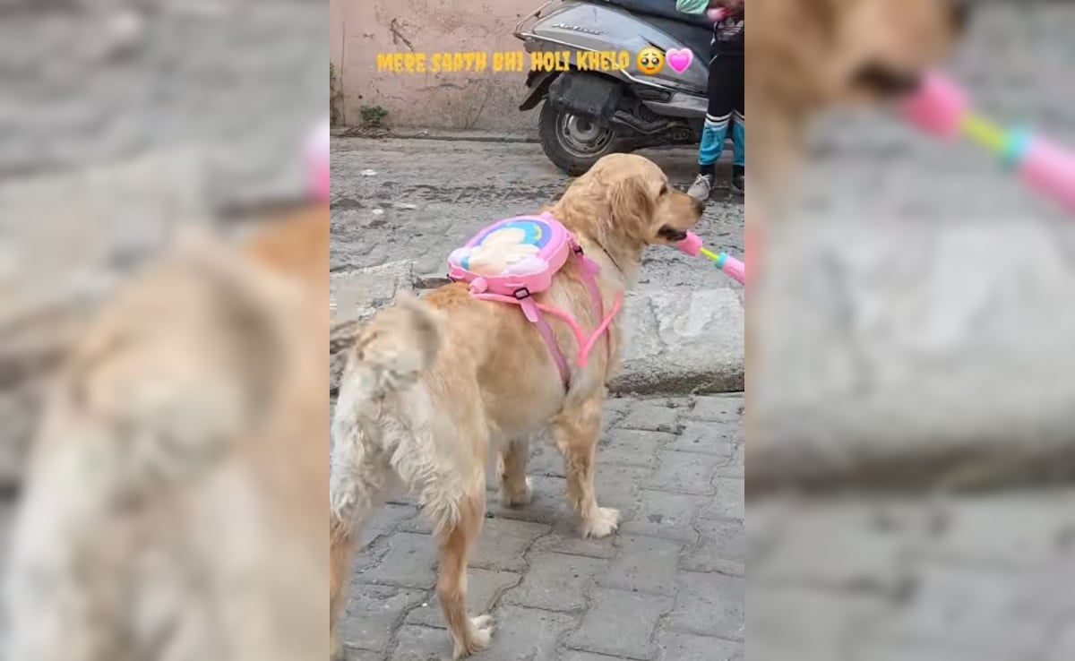 प्यार-मोहब्बत से लड़ाई झगड़े तक, होली के 10 वायरल वीडियो, आखिरी वाला जरूर देखना