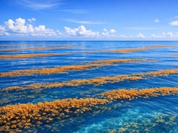 This Is Only Sea In The World With No Shore, Beaches Or Ports