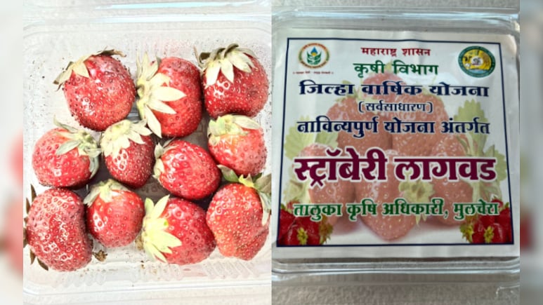 The 'Red' In This Once-Maoist-Hotbed Is Now Sweet. NDTV Captures Turnaround