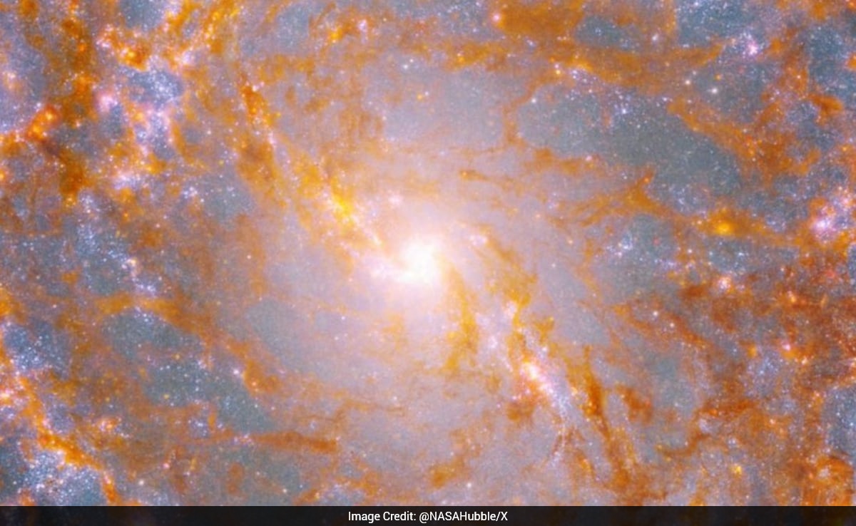 NASA Shares Image Of Pinwheel Galaxy Highlighting Its Vast Structure
