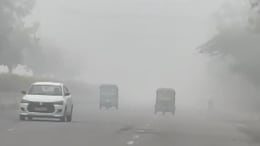 Delhi-NCR Sees Rare Fog After Recording Coldest March Day In 6 Years
