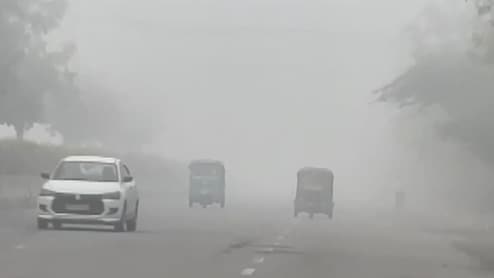 Delhi-NCR Sees Rare Fog After Recording Coldest March Day In 6 Years