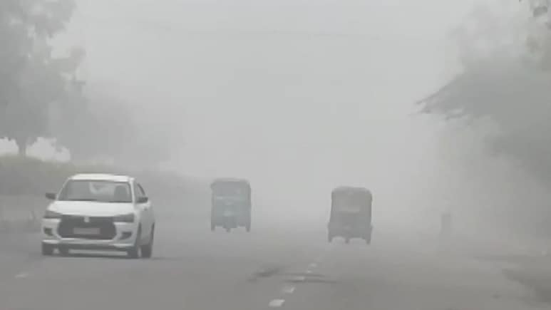 Delhi-NCR Sees Rare Fog After Recording Coldest March Day In 6 Years
