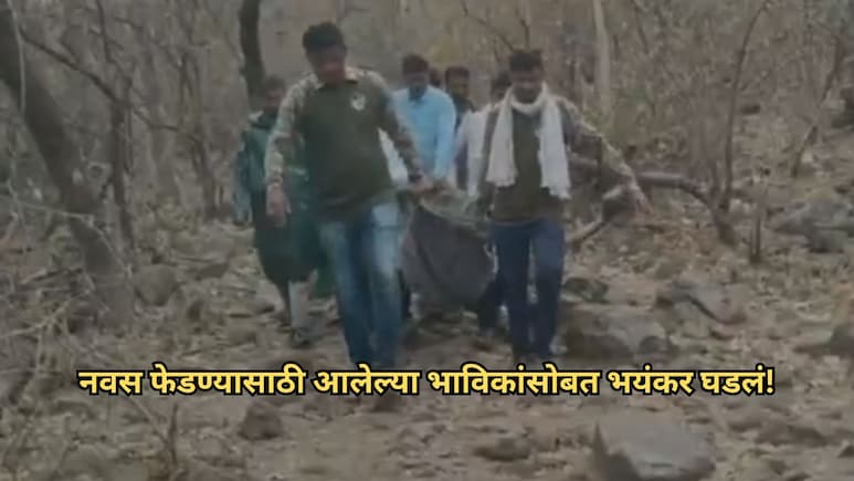 Chandrapur News: नवस फेडायला गेले अन् भयंकर घडलं! सातबहिणी डोंगरावर थरार; 3 वर्षांच्या चिमुरडीसह चौघे जखमी