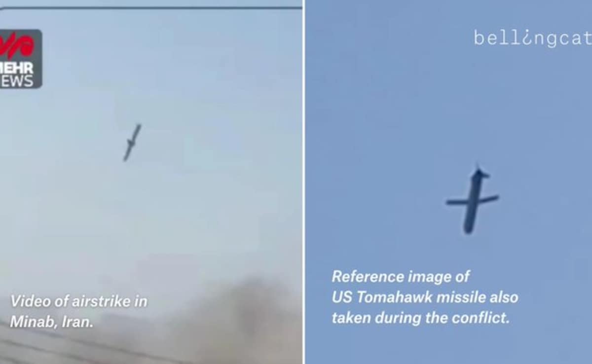 Image from X post by @easybakeovensz