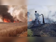 धार में गेहूं की फसल में लगी आग, चार किसानों की 25 बीघा फसल जलकर राख