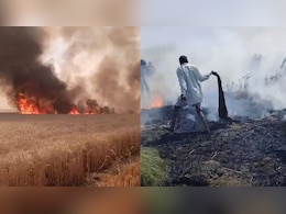 धार में गेहूं की फसल में लगी आग, चार किसानों की 25 बीघा फसल जलकर राख