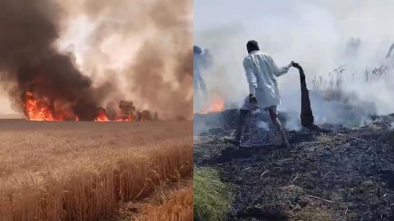 धार में गेहूं की फसल में लगी आग, चार किसानों की 25 बीघा फसल जलकर राख