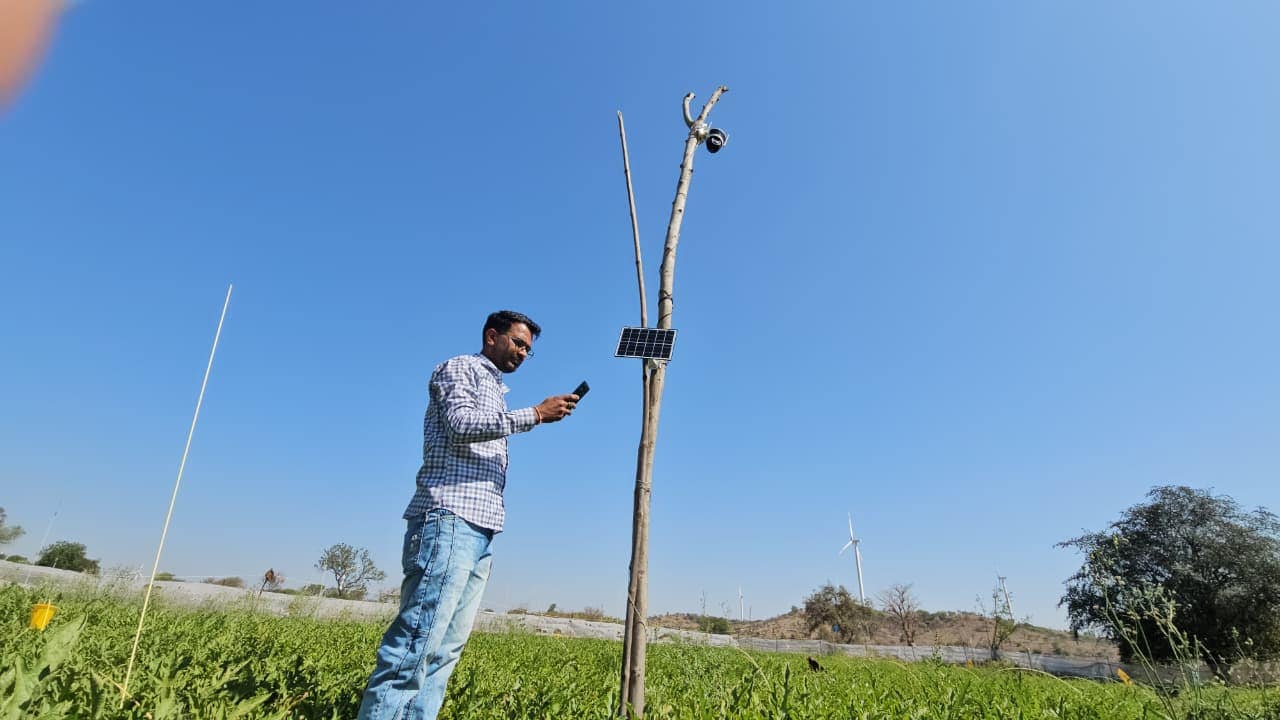 Farmer Success Story: स्मार्ट खेती