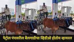 छत्रपती संभाजी नगरमध्ये पेट्रोल संपलं? पेट्रोल पंपावर चक्क बैलगाडीच नेली, शेतकऱ्याच्या व्हिडीओची सर्वत्र चर्चा