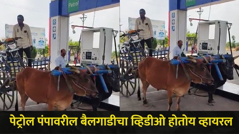 छत्रपती संभाजी नगरमध्ये पेट्रोल संपलं? पेट्रोल पंपावर चक्क बैलगाडीच नेली, शेतकऱ्याच्या व्हिडीओची सर्वत्र चर्चा