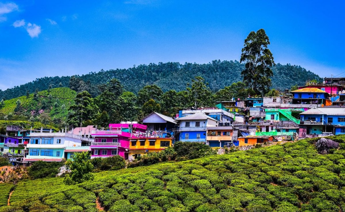 Latest and Breaking News on NDTV