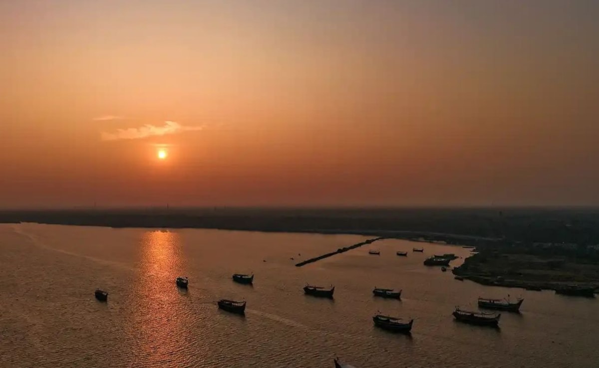 The Art of Baking: From Classic Bread to Artisan Pastries