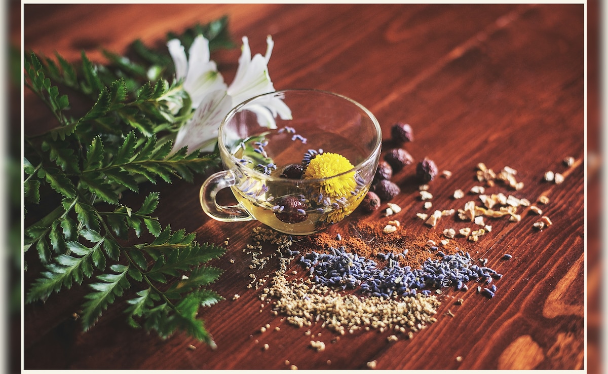 खाना खाते ही पेट फूलता है? एक्सपर्ट्स ने बताईं 6 हर्बल टी, जो दिला सकती हैं तुरंत राहत