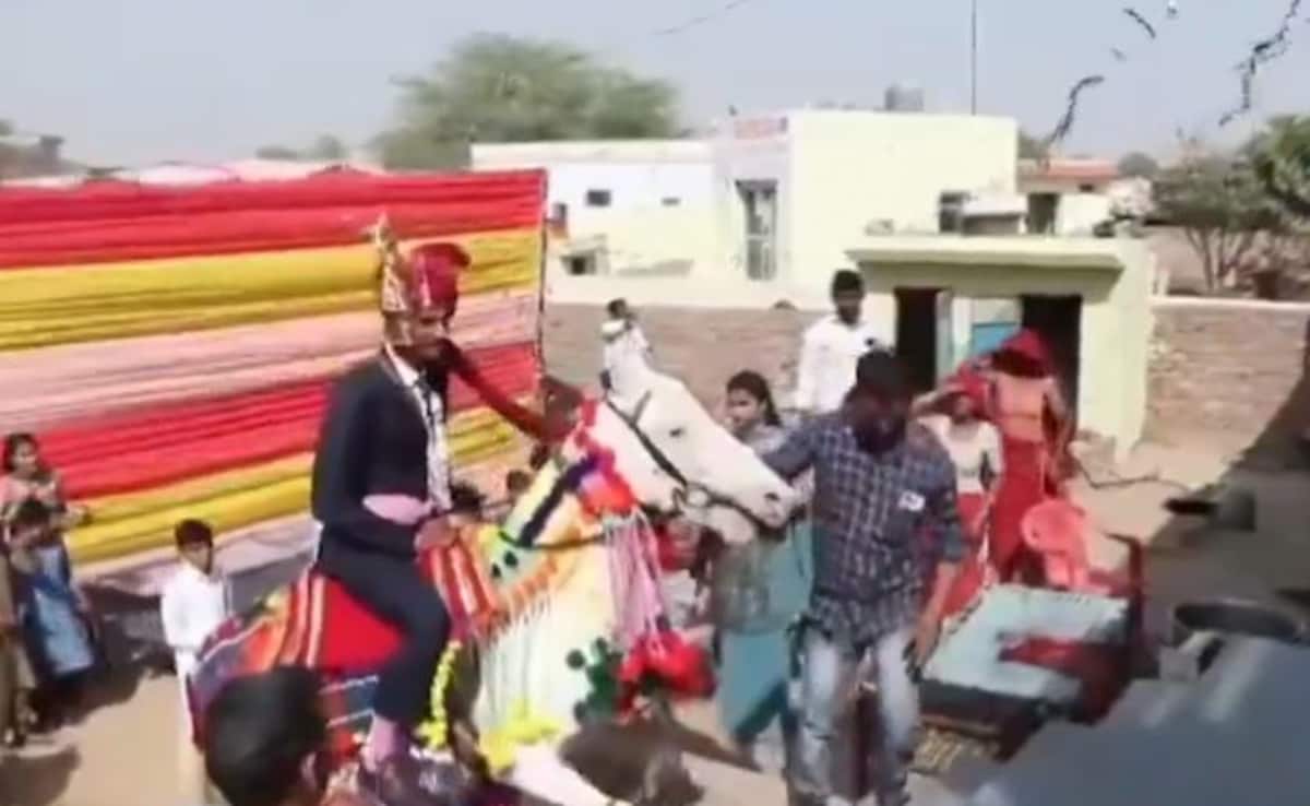 घोड़ी पर सवार होकर सीढ़ियां चढ़ रहा था दूल्हा, अचानक हुआ कुछ ऐसा कि मच गया हड़कंप - देखें Video