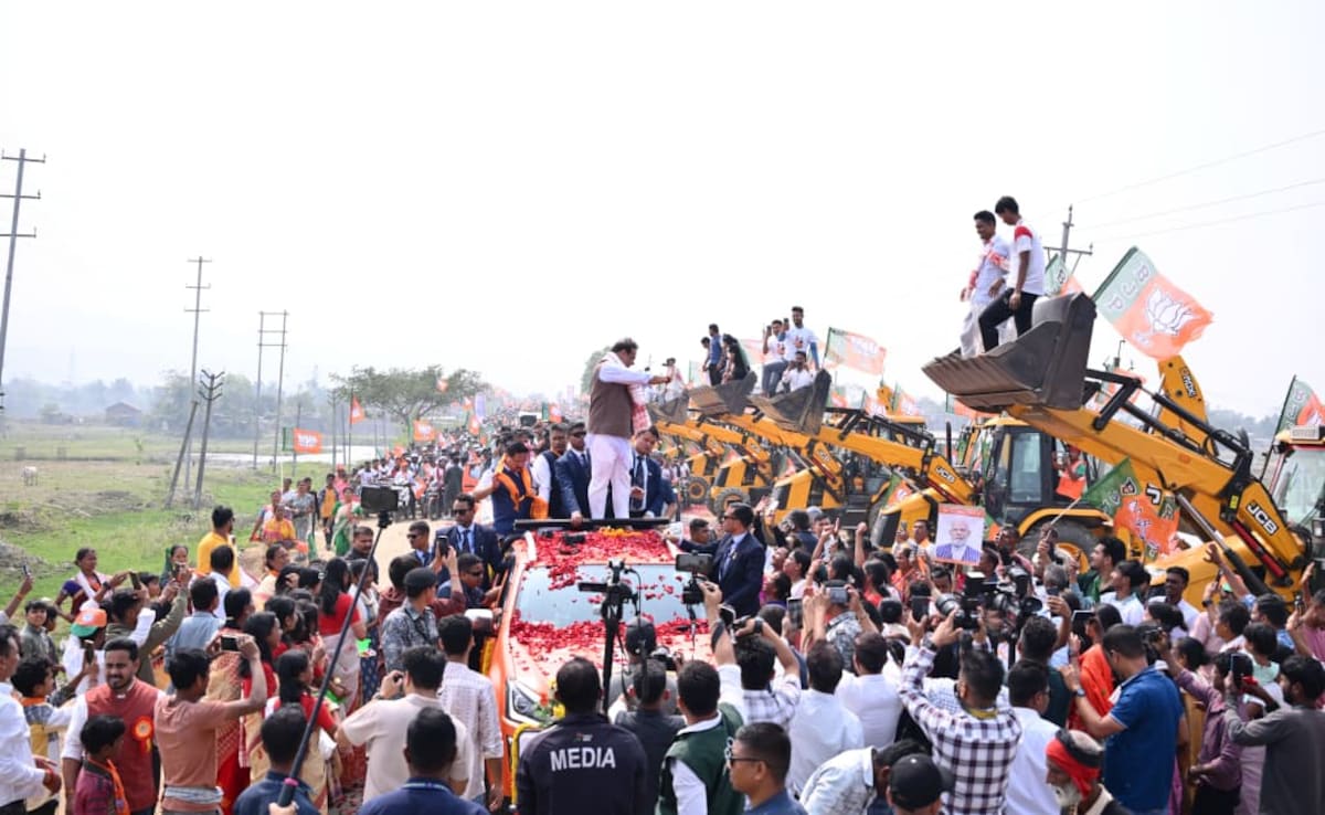 The Art of Baking: From Classic Bread to Artisan Pastries