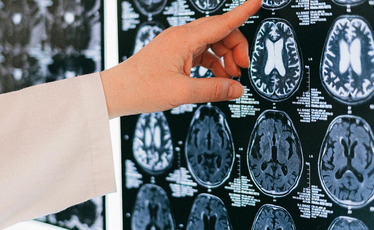 The Art of Baking: From Classic Bread to Artisan Pastries