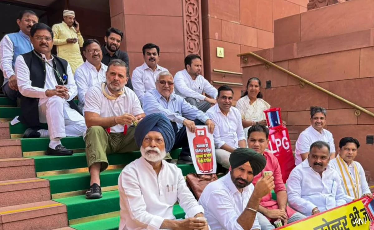 Rahul Gandhi's Conduct Inappropriate In Parliament, Say 200 Ex-Officials