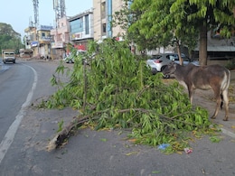 Rajasthan Weather: राजस्थान में भारी बारिश, कई इलाकों में गिरे ओले, आज नागौर-सीकर समेत कुछ हिस्सों में ऑरेंज अलर्ट