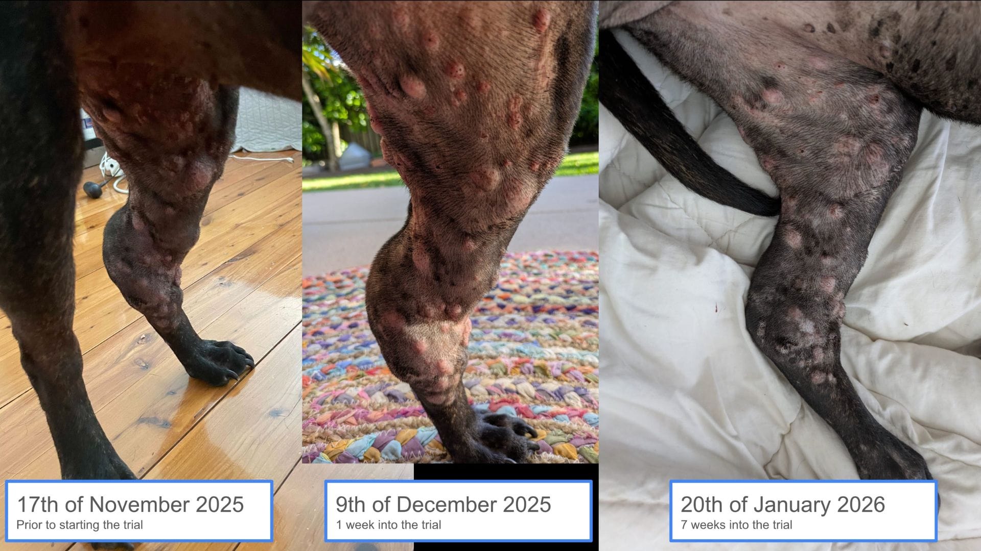 समय के साथ ठीक हो रहीं गांठ