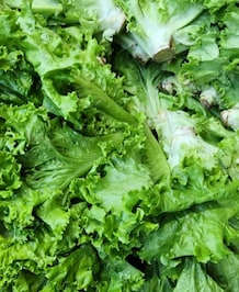 Water-Rich Foods You Should Eat For Better Hydration